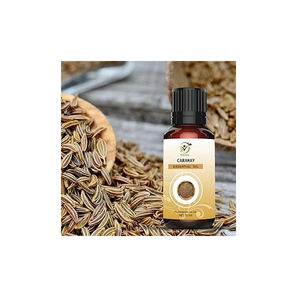 Aceite esencial de alcaravea pura para la salud digestiva Soporte respiratorio Alivio del estrés natural y bienestar de aromaterapia holística - Product Image 3