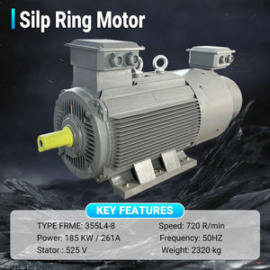 <span class=keywords><strong>Moteur</strong></span> spécial à <span class=keywords><strong>rotor</strong></span> enroulé 525V 720RPM 185KW Moteurs à induction triphasés - Product Image 5