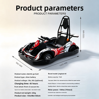 Kart électrique haute puissance à transmission directe, voiture de course à grande vitesse pour drift, usage commercial pour parcs d'attractions, enfants et adultes