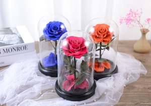Aniversario, <span class=keywords><strong>Bella</strong></span> <span class=keywords><strong>bestia</strong></span> romántica, flor para siempre, encantada, Mini cúpula <span class=keywords><strong>de</strong></span> cristal, rosas eternas que dura más <span class=keywords><strong>de</strong></span> un año - Product Image 4