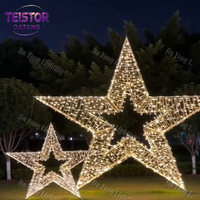 Maßgefertigte Outdoor-LED-Sternenlichter für Weihnachtsdekorationen in Parks, Resorts, Plätzen und Festival-Landschaftsprojekten