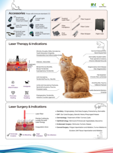 NUEVO Láser Fisioterapia Cirugía gato Perro Caballo 650nm 810nm 915nm 940nm 980nm - Product Image 6