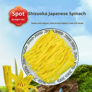 Alcachofas Frescas Comerciales, Cortadas y Mezcladas, para Platos Fríos Salados, Hot Pot Picante, Brochetas para Restaurantes, 500g, Grado A - Product Image 2