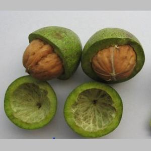 Máquina Peladora de Nueces Frescas con Piel Verde, Máquina para Limpiar y Pelar Nueces Verdes, <span class=keywords><strong>Precio</strong></span> de la Máquina Peladora de Nueces Verdes - Product Image 6