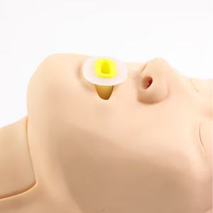 DARHMMY Advanced <span class=keywords><strong>Airway</strong></span> Management Manequim com intubação traqueal e funções de punção cricotireóidea - Product Image 3