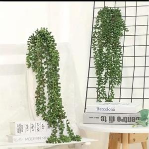Plantes succulentes artificielles suspendues 70cm, verdure pour la décoration de la maison et du jardin - Product Image 2