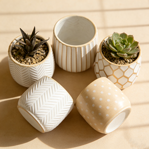 Macetas de Cerámica con Textura, Estilo Nórdico, Duraderas, para Suculentas, Color Blanco, para Hogar, Oficina, Jardín, Balcón - Product Image 1