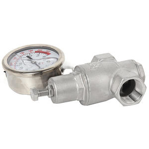 Valvola di Riduzione della Pressione in Acciaio Inox di Alta Qualità, Tipo a Pistone con Filettatura Interna, Valvola Industriale Speciale - Product Image 3