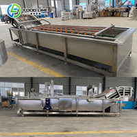 Elektrische fruit- en groentewasmachine met veiligheidsbescherming, groentesorteer-, was- en reinigingsmachine