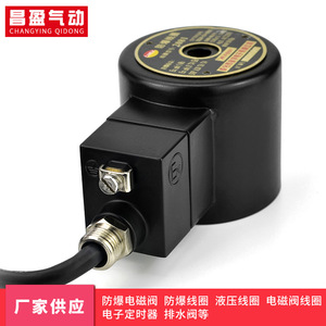 Bobina Solenoide Antiexplosión Changying Qidong 2081 AC220V DC24V para Válvulas Neumáticas - Product Image 5