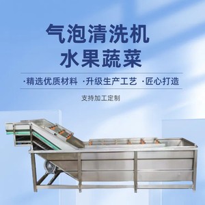 Machine à laver à bulles en acier inoxydable pour usine de transformation des fruits et légumes avec moteur et pompe - Product Image 1