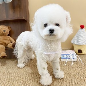 Pet Dog Pants Solid Color Polyester Breathable Lace Style For Small Medium Dogs <b>Cute</b> Design - Product Image 2