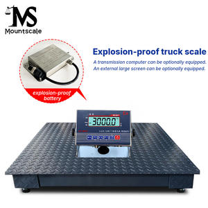 Plattformwaage 1 Tonne Bodenwaage Digitale Plattformwaage Wiegebrücke mit Explosionsgeschütztem Anzeigegerät - Product Image 6