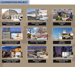 Paquete de Muebles de Madera Sólida Personalizados para Resorts Tropicales, para Habitaciones de <span class=keywords><strong>Hotel</strong></span> de Lujo, Salas de Estar y Apartamentos, Diseño Contemporáneo - Product Image 6