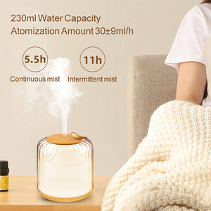 230ml thủy tinh gỗ rắn khuếch tán hương thơm trang trí nhà Loa Trắng tiếng ồn tinh dầu máy hương liệu - Product Image 6