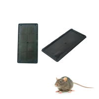 Piège à souris à colle collante avec plateau en plastique Piège à souris et rat avec tampon adhésif pour la lutte antiparasitaire