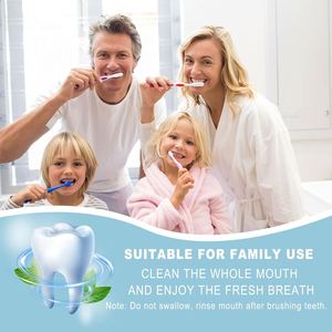 Pasta de Dientes Ecológica de 10g, Tamaño Regular, para Hoteles, Kit Dental Desechable de Viaje, Cerdas Suaves, OEM, Lujo 5 Estrellas, Gran Venta - Product Image 2