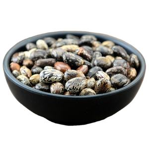 مسحوق مستخلص من بذور الخيزران بجودة عالية - Product Image 2