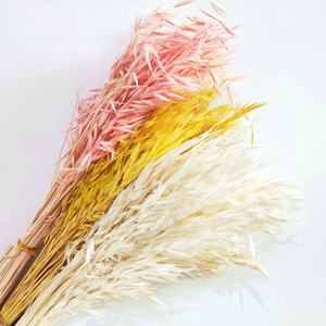 <span class=keywords><strong>Flores</strong></span> secas reales para decoración del hogar, hierba de Avena Sativa, ramo Natural salvaje, <span class=keywords><strong>flores</strong></span> secas para decoración del hogar - Product Image 1