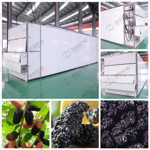 Heavy Duty Mesh Belt Dryer Seca Rábano Fresco e Raízes Wasabi com Estrutura Forte para Uso a Longo Prazo - Product Image 3