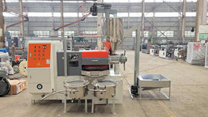 Prensa de tornillo industrial para aceite de semilla de girasol, de gran rendimiento, con equipo de filtrado de aceite, prensas de aceite de aguacate - Product Image 6