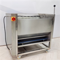 400KG/H Falcon borstelrol aardappel- en fruitwasmachine, roestvrij staal, automatische wortelgewaswasser en -schiller