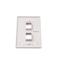 Plaque murale Keystone Jack à 2 ports de type 2 américaine en matériau PC blanc, plaque murale RJ45/RJ11, coupleur réseau, câble de réseau de télécommunication