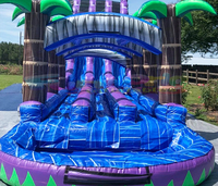 Château gonflable géant pour adultes, toboggan aquatique, jeu gonflable, toboggan aquatique tropical gonflable