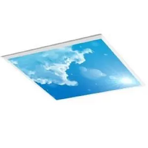 2023 China Factory Direct sales Artificial Sky 595x595led panel 2x2ft 2x4ft panel light High quality and big discount