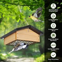 Mangeoire à suif à l'envers solide en bois de cèdre durable et écologique