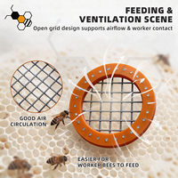 Cage à reine de type broche en bakélite anti-corrosion pour l'élevage des abeilles, équipement d'apiculture