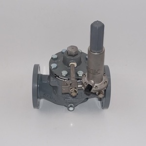 Vanne de réduction de pression Fisher Ezr Series 1/2 pouce pour eau à température normale USA - Product Image 2