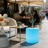 Tables d'appoint étanches pour l'extérieur, mobilier de jardin, villa, piscine, chaise décorative en plastique pour la maison, chaise LED 16RGB