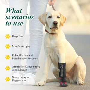 Drop Foot Brace with Reel,Corrective <strong>Dog</strong> Shoes to Safely Lift Toes for Foot Issues, Arthritis Improving Walking Gait in <strong>Dogs</strong> - Product Image 2