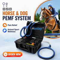 Appareil de thérapie PEMF vétérinaire portable personnalisable, appareil magnétique PEMF pour la récupération des blessures musculaires sportives, pour un usage domestique