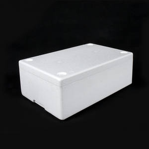 확장 가능한 EPS 폴리스티렌 폼 비즈 플라스틱 원료 - Product Image 3