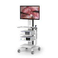 Système de caméra endoscopique électrique 4K IKEDA YKD-9230 avec écran tactile de 7 pouces pour les procédures laparoscopiques, ORL, urologiques et arthroscopiques