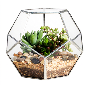 Terrario de cristal con forma hexagonal para decoración del hogar y jardín, terrario, maceta de flores para balcón, venta al por mayor - Product Image 1