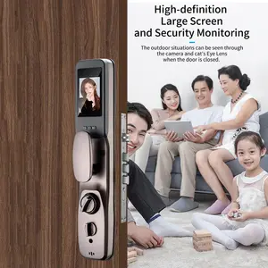 XSDTS Q26S Smart Door Lock 3D Face Recognition Zinc Alloy With Video Intercom Function