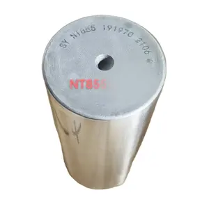 Axe de piston NTA855 N14 de haute qualité 191970