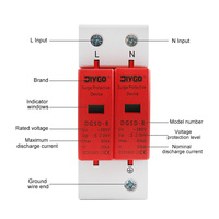 DIY GO AC SPD 2P 20KA 40KA 60KA 385V Protection contre les surtensions domestique Protection Dispositif de protection contre les surtensions basse tension 1P+N