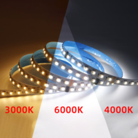 Tira de Luces LED Flexibles de Cobre SMD5050, 6000K, DMX, Direccionables, DC24V, RGBW, Programables, Iluminación de Paisaje, IP68, Impermeables, USB