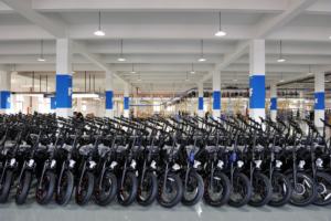 Bicicletta Elettrica per Consegne Fast Food ODM/OEM, Trasporta Due Bambini, <span class=keywords><strong>Bici</strong></span> da Città, E-Bike Urbana con Sedile - Product Image 3