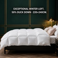 Couette matelassée extra chaude pour l'hiver, 50% duvet de canard, avec coutures en boîte, en coton anti-duvet, poids lourd 1200g, vente en gros OEM