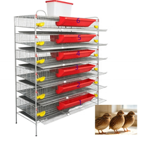 Cage à batterie professionnelle en H pour cailles pondeuses avec contrôle automatique de la température et ventilation