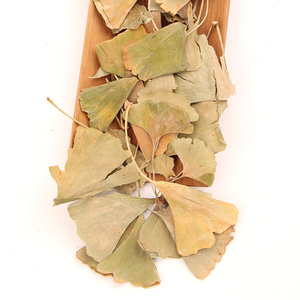 <span class=keywords><strong>Feuille</strong></span> <span class=keywords><strong>de</strong></span> <span class=keywords><strong>ginkgo</strong></span> Feuilles séchées naturelles pour décorations et feuilles pressées - Product Image 3