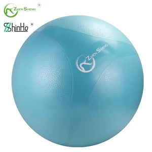 Zhensheng Brand advertising china supplier hot sale eco friendly PVC anti burst gym fitness exercise yoga ball patent design