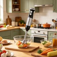 Krachtige 1000W elektrische staafmixer op maat gemaakt (OEM), met roestvrijstalen schacht en 2 snelheden, voor de keuken.