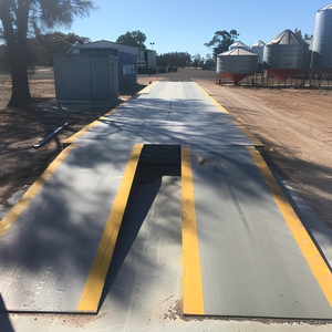Pont-bascule électronique personnalisé de 60 tonnes (poids/couleur) pour le pesage de camions, idéal pour le sable, le gravier et les mines de charbon - Product Image 3