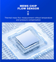 Débitmètre massique thermique pour la surveillance de l'air comprimé, protection IP65, OEM disponible, précision 1,5 % FS, débit de 3 à 200 m³/h